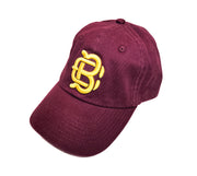 DMV - Team Hat
