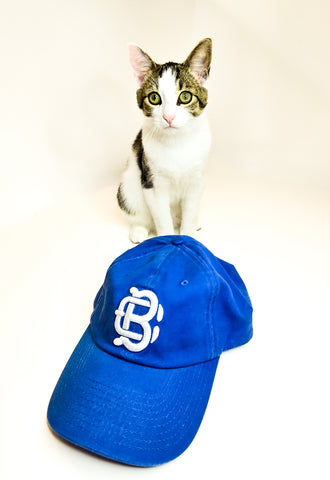 Dodger blue - Team Hat